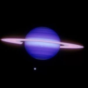 Meet your Posher, Evangelina